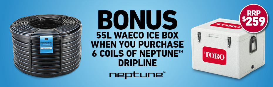 Neptune Banner 900X296px