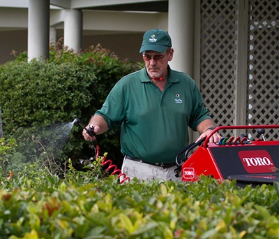 Hand-held Spray Wand