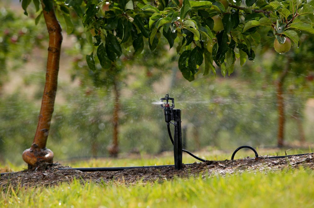 Toro mini sprinklers offer versatility for irrigators